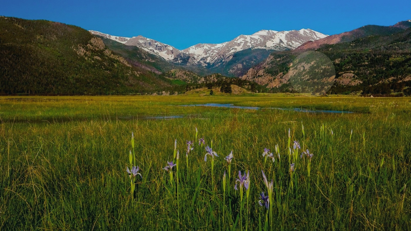 How to Sell Land Online in Colorado Colorado land guide