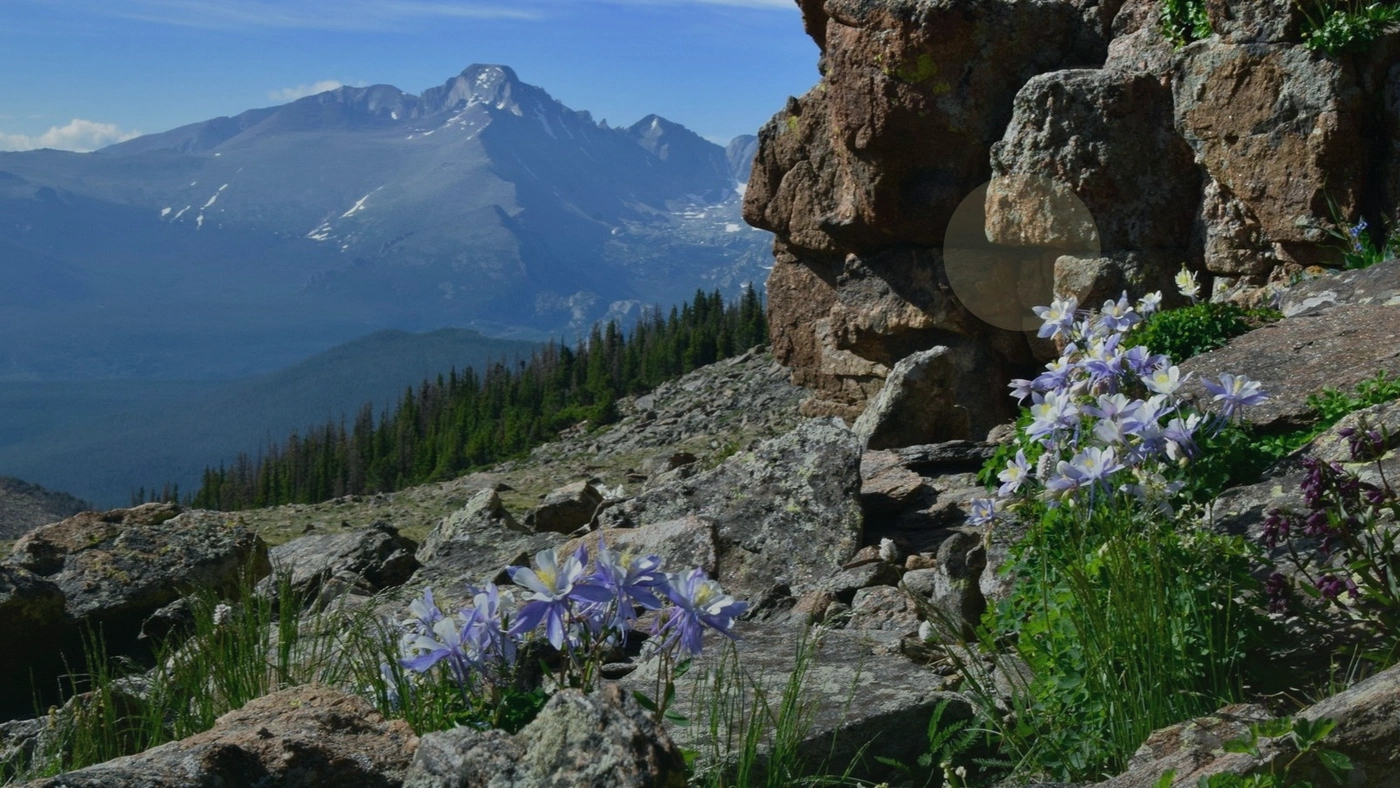 Tax on Selling Land in Colorado Colorado land guide