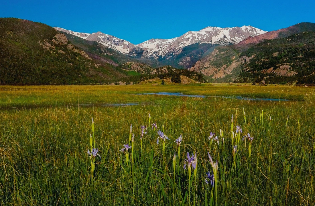 Inherited Colorado land deed, tax record, and parcel map review