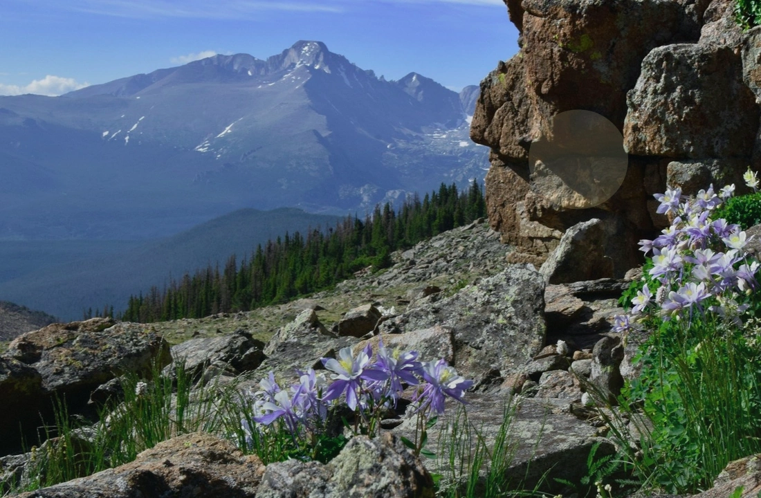 Colorado land sale options and buyer review for How to Sell Land Without a Realtor in Colorado