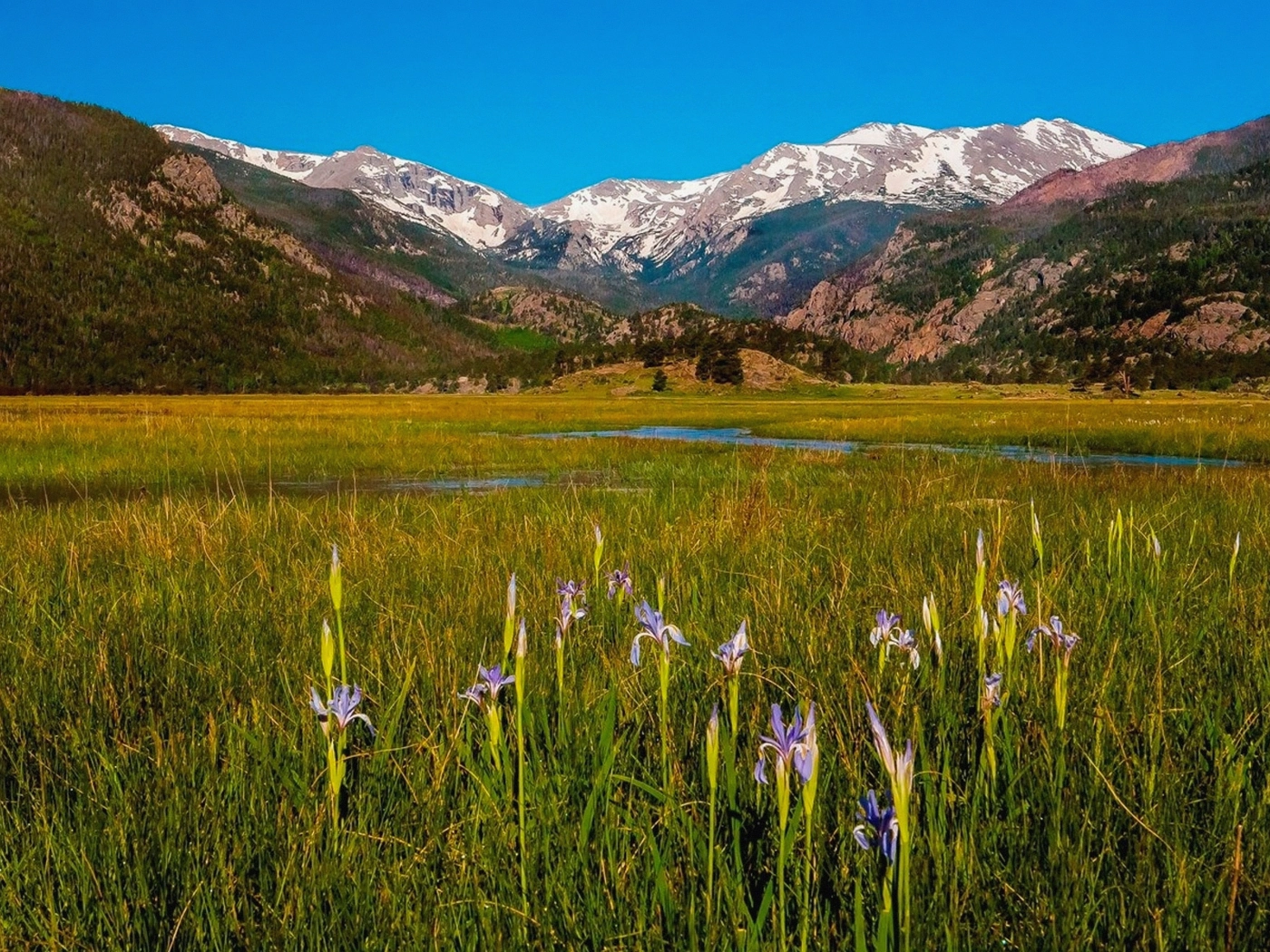 Mountain Acreage in Durango